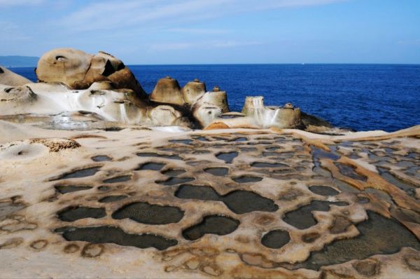 梦想起航——卓启精英台湾之旅